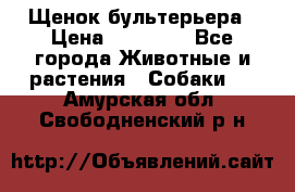 Щенок бультерьера › Цена ­ 35 000 - Все города Животные и растения » Собаки   . Амурская обл.,Свободненский р-н